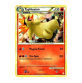 LP - Typhlosion Cracked Ice Holo BDE - #32/123